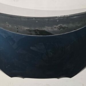 CAPO SEAT LEON AÑO 2009