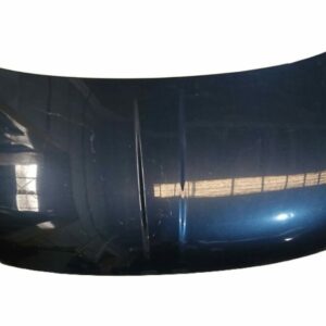 CAPO FIAT 500 AÑO 2009