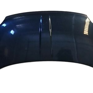 CAPO FIAT 500 AÑO 2009