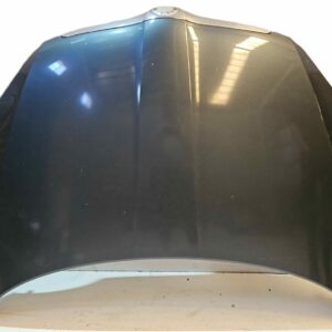 CAPO SKODA FABIA AÑO 2009