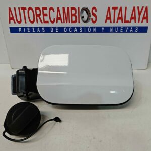 TAPA COMBUSTIBLE Y TAPON SKODA FABIA AÑO 2021-